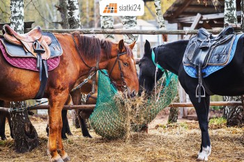  Siatkowy worek na siano — Praktyczny paśnik dla Twojego konia 